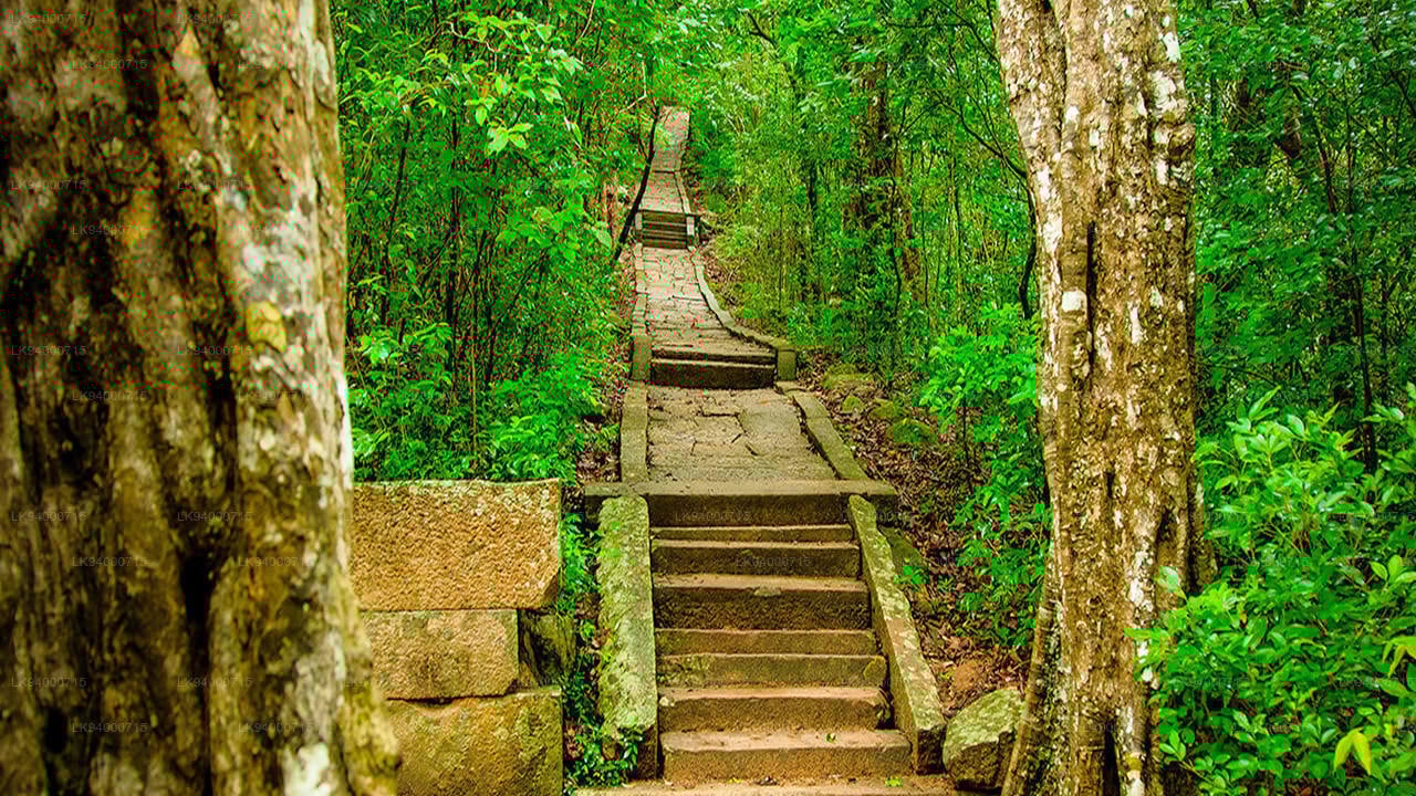 Ritigala Forest Monastery Sri Lanka