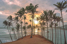 Location Image 3